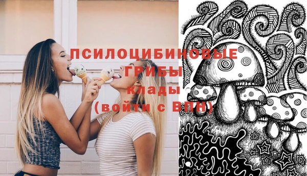 твердый Алексеевка