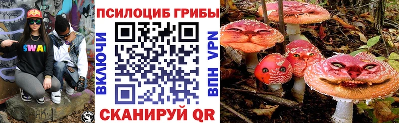 площадка формула  Новосиль  Галлюциногенные грибы Magic Shrooms 